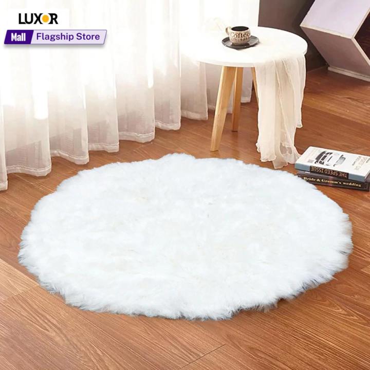Indoor Shaggy carpet for bedroom - Fluffy Non-Shedding floor Mat for Living Room