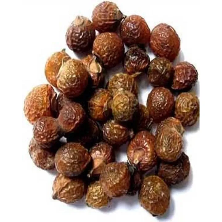 Reetha Fresh Fresh Soapnut (Reetha Sabut) - 500 gm | Daraz.pk