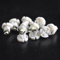 10pcs T4/T4.2 Neo Wedge LED Bulb Cluster Instrument Dash Climate Base Lights - intl. 