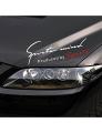 Sports Mind - Car Sticker. 