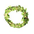 Gardening Round Decorations Flower Pot Wire. 