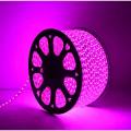 Purple Flexible Rope Led Strip light Water Proof and multiple sizes to choose for indoor and outdoor use long life bulbs rope lights. 