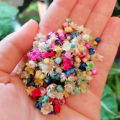 140PCS Real Dried Flowers Brazil Little Star Flower for DIY Art Craft Epoxy Resin Candle Making Jewelry Wedding Home Decoration. 