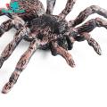 Spider Toy for Children Halloween Spider Model Ornament Simulation Plastic Figurine Kids Toy Desktop Garden Tricky Gift Spider Decoration for Home. 