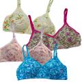 FairyShop Pack of 2 Soft Indian Blended Cotton Bra - HL2. 