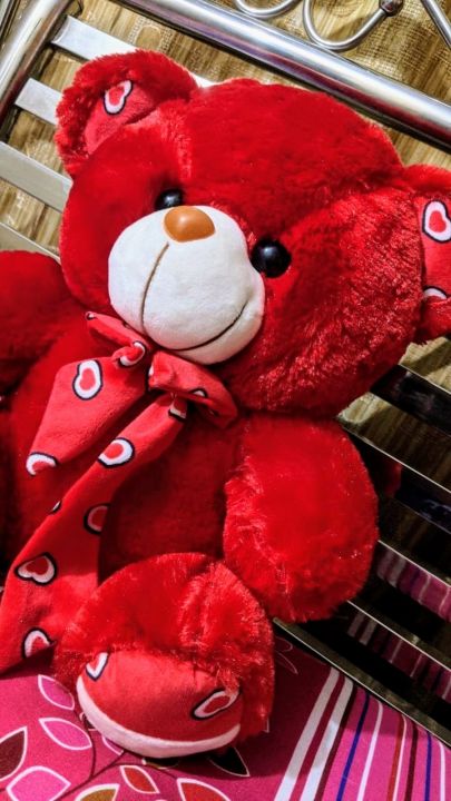 14%20Inches%20Tie%20Knot%20Fluffy%20Teddy%20Bear%20for%20Girls%20Big%20Size%20Birthday%20Gift%20for%20Girls%20-%20Stuff%20Toys%20for%20Kids%20Birthday%20Gifts%20for%20Boys%20/%20Anniversary%20Gift%20for%20Wife%20-%2014%20Inches/%20%2035.5cm/%201.16ft.%20-%205%20Colors%20Available%20-%20Image%202