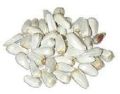 Safflower Qurtum / Kurtum Seeds - 500 Grams. 