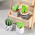 1/4PCS Creative Mini Cactus Potting Indoor Tabletop Small Potted Decoration Cactus Micro Landscape Ecological Bottle DIY Ornaments. 