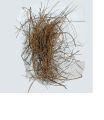 BERGE SANOBER POWDER|BERG_E_SANOBER|100:GRAM. 
