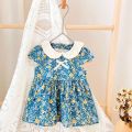 Flower Princess Girls Summer Dress Infant Toddler Girl Dresses Cotton Baby Clothing. 