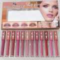 Liquid Lipstick 6 Pieces (Half Set) & 12 Pieces (Full Set) Lipgloss Matte Lipsticks Nude Redish Shades Lipglosses. 
