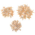 Sea shells size:0.5-3cm 100pcs Mini Starfish Craft Decoration Sea Stars
 ZH. 
