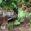 400 Pcs ing Bags Small Plant Grow Non-Woven for Home Garden. 