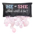ARELENE the Perfect Addition to Your Gender Reveal Party Supplies Gender Reveal Balloon or Girl. 