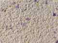 grace wall  home indoor paint new arrival paint. 