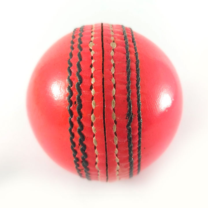 Pink%20Leather%20Cricket%20Ball%20(35%20overs)%20-%20Image%203