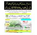 Stevia Sweetener Powder 25 gram. 