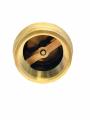 Brass Check Valve 3/4'' NRV (Made In China). 