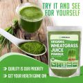 Organic Wheatgrass 113 gram Juice Powder - Sustainably Grown in The US - Instant Wheat Grass Juice Powder Made from Concentrated Juice - More Potent Than Organic Wheatgrass Powder -. 