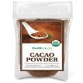 Healthworks Cacao Powder (16 Ounces / 1 Pound 454g) | Cocoa Chocolate Substitute | Certified Organic | Sugar-Free, Keto, Vegan & Non-GMO | Peruvian Bean/Nut.... 