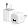 Mini USB Wall Charger - 1 AMP Adapter for I-Products/Android- EU Plug With USB Lightning Charging Cable-White. 