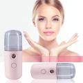 FANCY Face Moisturizing Sprayer USB Rechargeable Portable Air Humidifier Handheld Water Atomizer, Pink. 