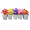 Pack of 4 Mini Plant Artificial Decoration Piece with pot Best for home & Office Decoration purpose. 