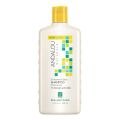 Andalou Sunflower & Citrus Brilliant Shine Shampoo, 340ml. 