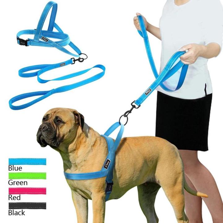 Lead & Harness - For Large Dogs