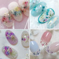 3D Dead Nature Nail Dried Flowers Nail Art Decorations Dry Flowers Manicure Floral Bloom Nail Art Beauty For Charms Accessories. 