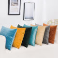 Velvet Cushion Cover Pillowcase Solid Color Pillow Case Decor Sofa Throw Pillows Room Pillow Cover Decorative Wholesale 60x60. 