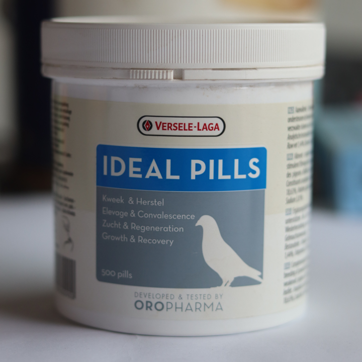 Pack of 10 Ideal Pills For Pigeon's - Health Pill on The Basis of Plants And Herbs