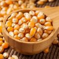 Popcorn Kernels • American Popcorn Seeds • Guaranteed Best Quality • 1kg. 