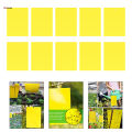 Dual-Sided Yellow Sticky Traps for Flying Plant Insect Such Fungus Gnats, Whiteflies, Aphids, Leafminers,Thrips, 6x4 Inch. 