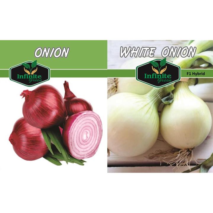 RED ONION SWAT ONE & WHITE ONION F1 HYBRID USA IMPORTED SEEDS (ONE EACH PACK)