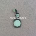Home Button for iPhone 5S 6 6s With Flex Cable Main Key Return Functions No Fingerprint Sensor Touch ID. 