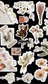 Floral stickers Journaling A5 uncut Mini Black Aesthetic Sheet  |  vintage Retro flower. 