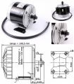 MY1016 350W 24V DC Motor 11 Tooth gear ebike bicycle Chain Sprocket EV. 