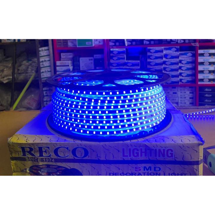 Blue Rope Led Strip light with Adapter 1 meter - RECO | Daraz.pk