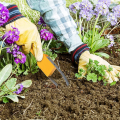 2PCS Garden Bandit Hand Loop Weeder Tool Hand Ring Weeding Tool for Lawn Attachments Yard Vegetable Garden Portable Cleaning Access. 