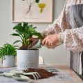 Ikea Gardening Pack Set of 3 Pcs. 