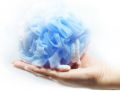2pcs Bath Loofah Sponge Mesh Shower Body Wash | Body Scrubber | Random Colours. 