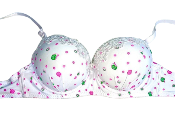 Push-Up%20Double%20Padded%20Bra%20-%20A%20Stylish%20and%20Comfortable%20Choice%20for%20Girls%20Looking%20for%20Extra%20Lift%20and%20Support.%20-%20Image%206