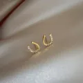 Exquisite Creative Earrings Fashion Earring. 