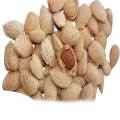 ALMONDS (BADAM) 500g. 