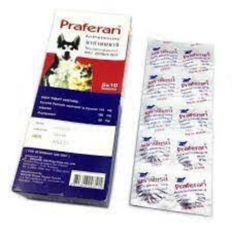 Deworming Tablets For Pets (Cat & Dogs) Praferan 1 Tablets