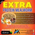 Dried meal worms BSF for birds,fish, turtle etc 50gm best quality. 