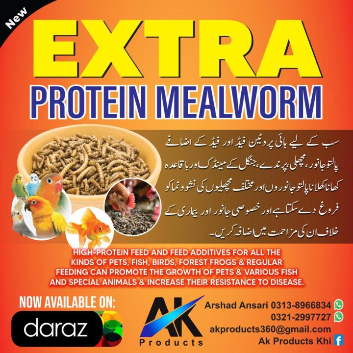 Dried meal worms BSF for birds,fish, turtle etc 50gm best quality