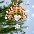 IY Write ame ersonalized esin eindeer Family 2022 Christmas ecorations for ome Xmas ree anging endants ew Year 2023. 