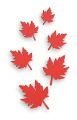 Artificial Autumn Maple Leaves for Wall Decoration. 